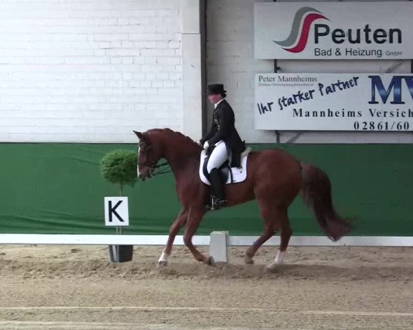 Pfingst-Dressur- und Springturnier 2013 des ZRFV Borken
