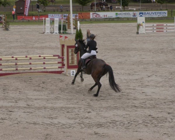 Reitturnier Halle - Seeben 2024