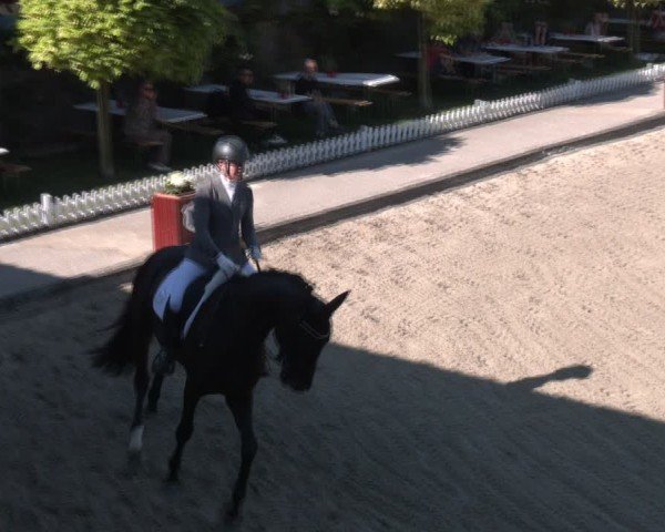 Reitturnier Gerasdorf bei Wien 2024