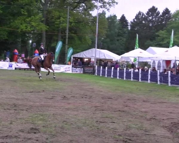 Pfingst-Dressur- und Springturnier 2013 des ZRFV Borken