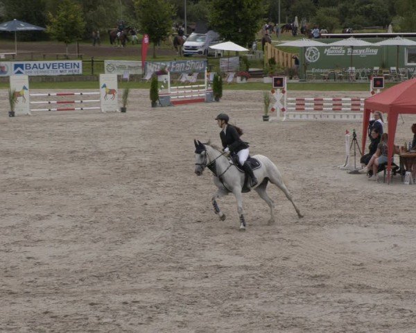 Reitturnier Halle - Seeben 2024