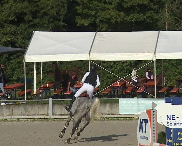 Reitturnier Grafenrheinfeld/Ufr. 2024