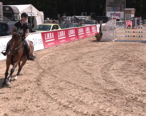 Reitturnier Ranshofen - Braunau am Inn 2024
