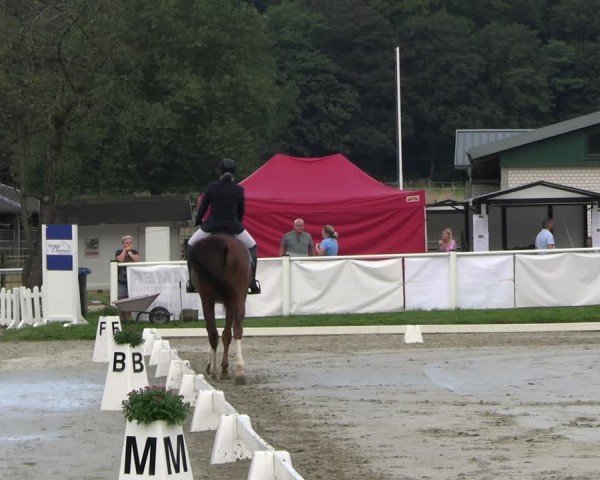 Reitturnier Bergisch Gladbach - Hebborner Hof 2024