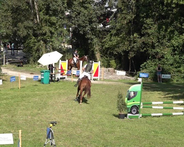 Reitturnier Sulgen 2024