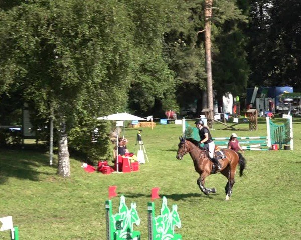 Reitturnier Sulgen 2024