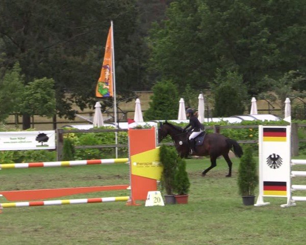 Reitturnier Niemegk / Neuendorf 2024