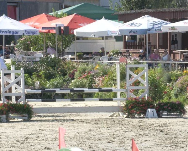 Reitturnier Oberderdingen 2024