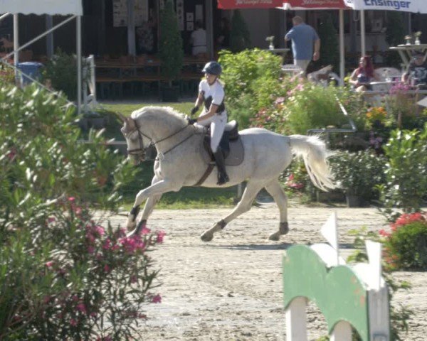 Reitturnier Oberderdingen 2024