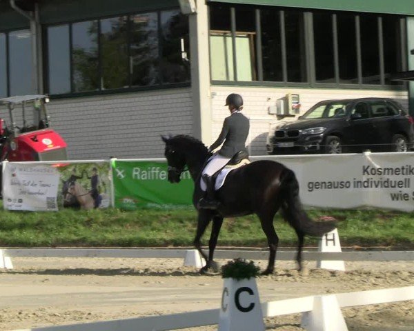 Reitturnier Bergisch Gladbach - Hebborner Hof 2024