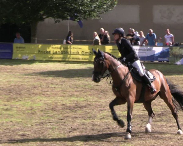 Reitturnier Woldegk 2024
