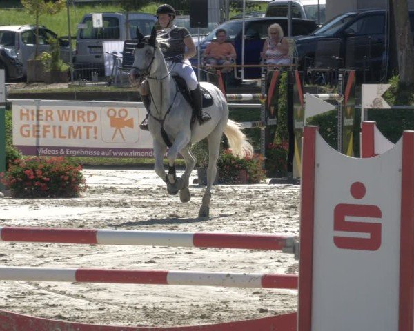 Reitturnier Oberderdingen 2024