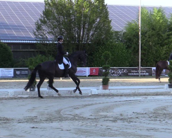 Reitturnier Bergisch Gladbach - Hebborner Hof 2024