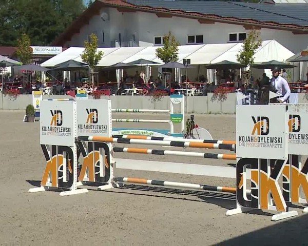 Reitturnier Grafenrheinfeld/Ufr. 2024