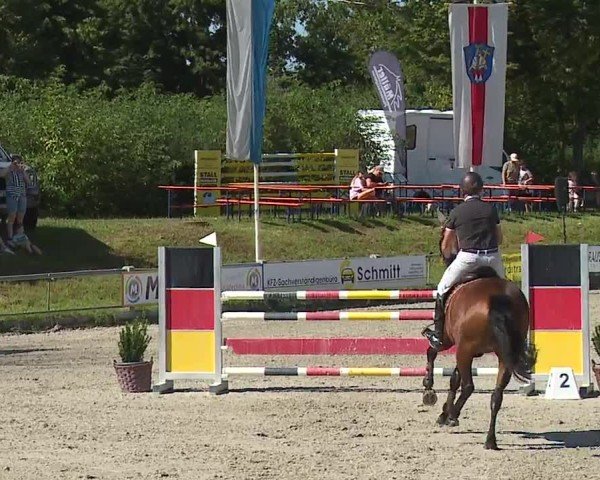Reitturnier Grafenrheinfeld/Ufr. 2024