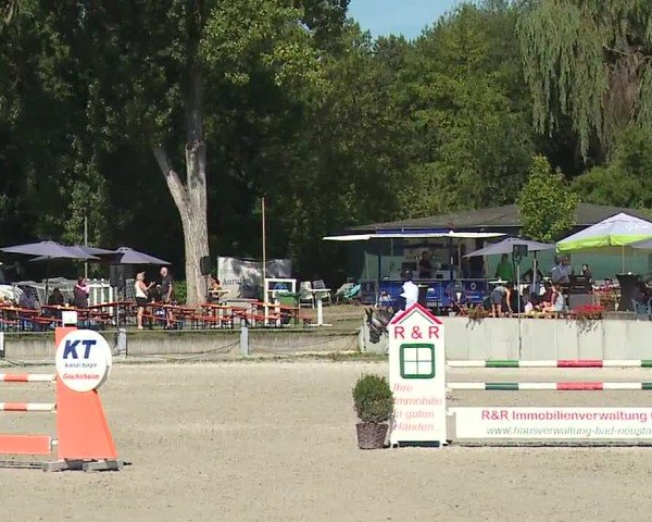 Reitturnier Grafenrheinfeld/Ufr. 2024