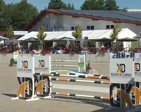 Reitturnier Grafenrheinfeld/Ufr. 2024