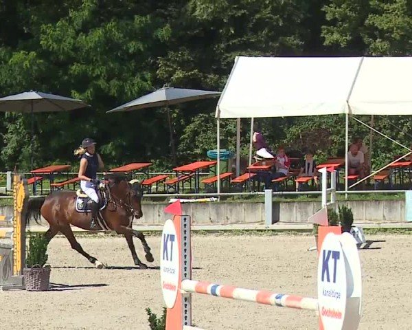 Reitturnier Grafenrheinfeld/Ufr. 2024