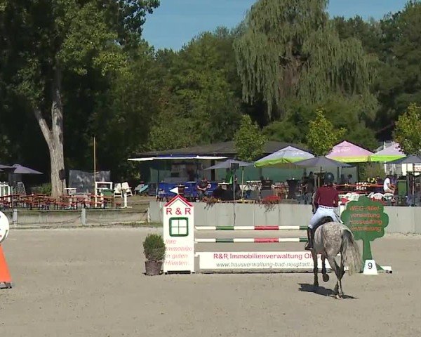 Reitturnier Grafenrheinfeld/Ufr. 2024