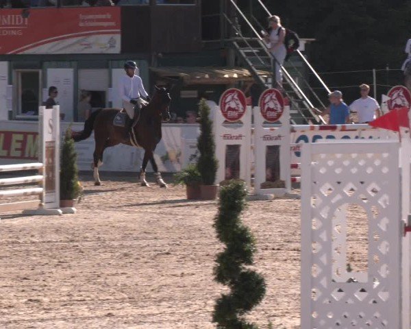 Reitturnier Ranshofen - Braunau am Inn 2024
