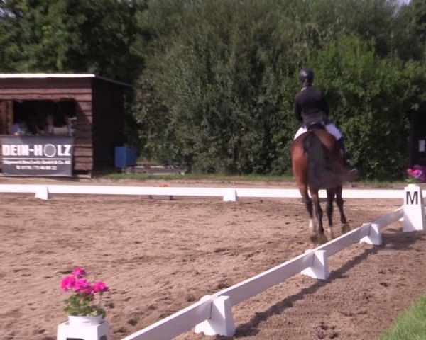 Reitturnier Halle - Seeben 2024
