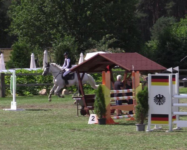 Reitturnier Niemegk / Neuendorf 2024