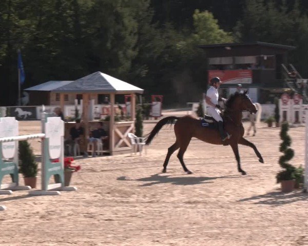 Reitturnier Ranshofen - Braunau am Inn 2024