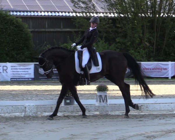 Reitturnier Bergisch Gladbach - Hebborner Hof 2024