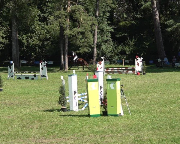 Reitturnier Sulgen 2024