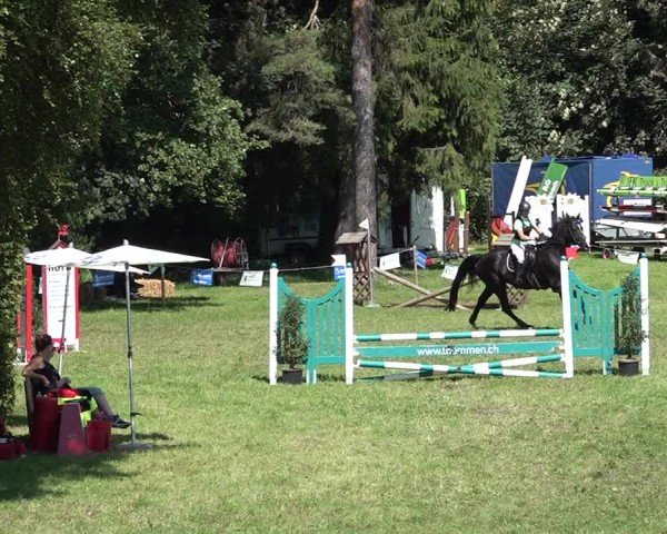 Reitturnier Sulgen 2024