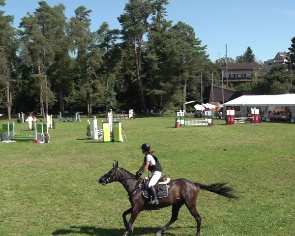 Reitturnier Sulgen 2024