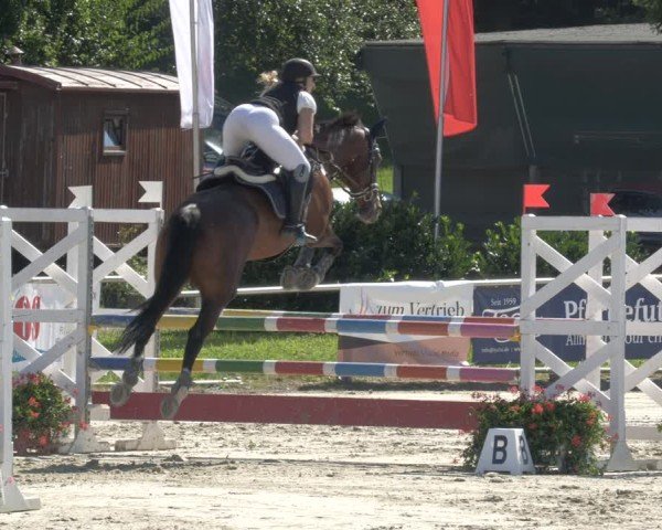 Reitturnier Oberderdingen 2024