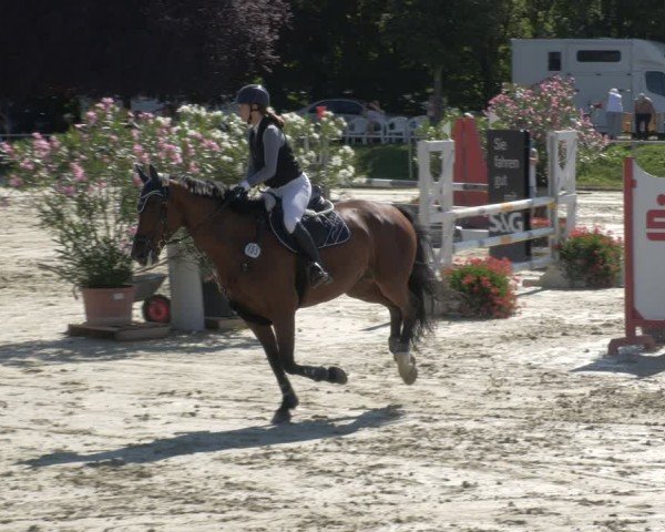 Reitturnier Oberderdingen 2024
