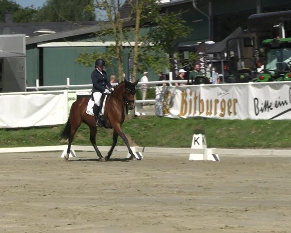 Reitturnier Bergisch Gladbach - Hebborner Hof 2024