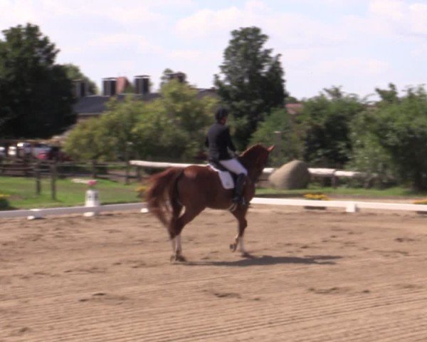 Reitturnier Halle - Seeben 2024