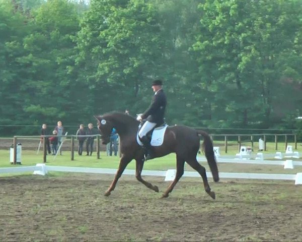 Halle-Tatenhausen Schloßturnier 2013