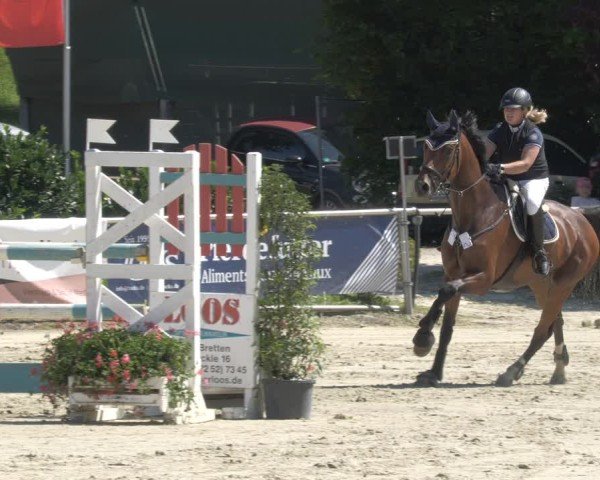 Reitturnier Oberderdingen 2024