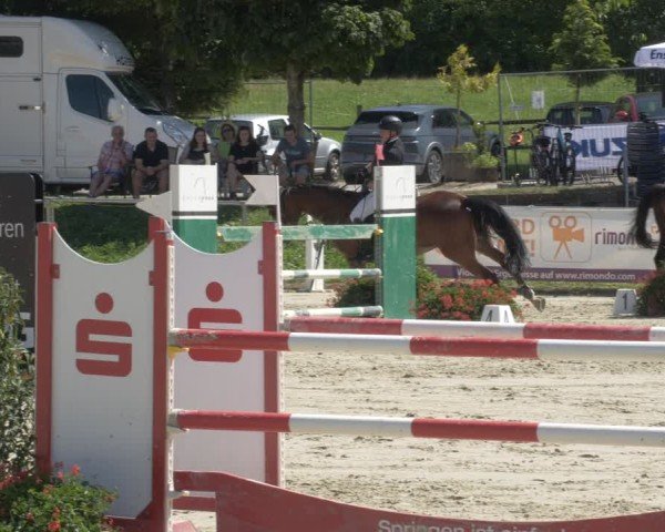 Reitturnier Oberderdingen 2024