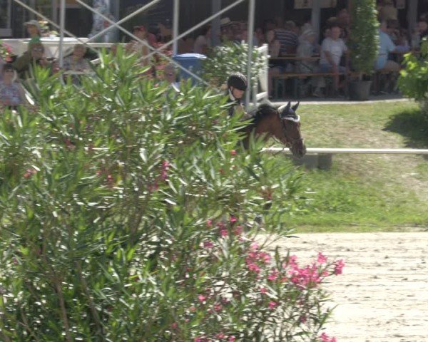 Reitturnier Oberderdingen 2024