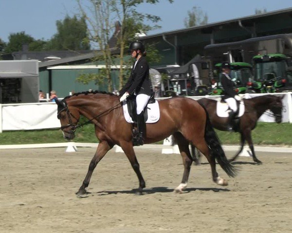 Reitturnier Bergisch Gladbach - Hebborner Hof 2024