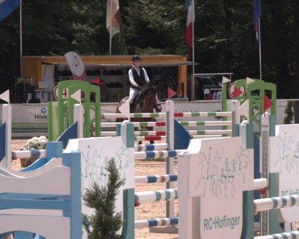 Reitturnier Ranshofen - Braunau am Inn 2024