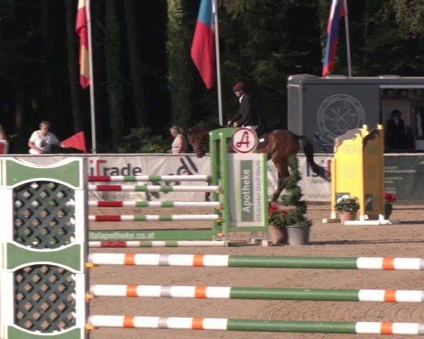 Reitturnier Ranshofen - Braunau am Inn 2024