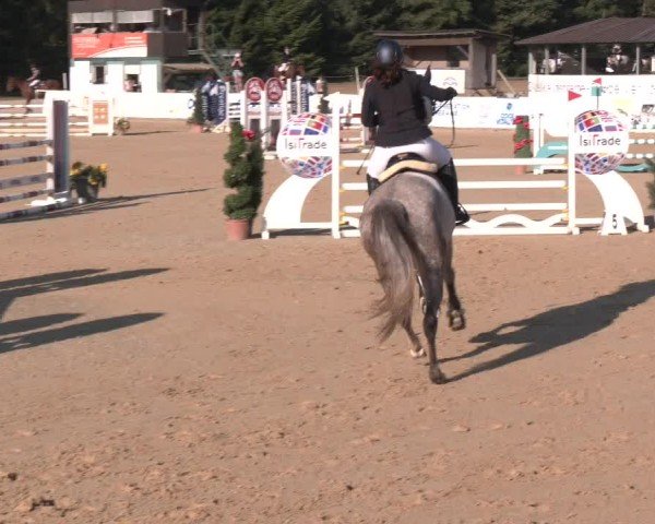 Reitturnier Ranshofen - Braunau am Inn 2024
