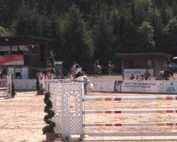 Reitturnier Ranshofen - Braunau am Inn 2024