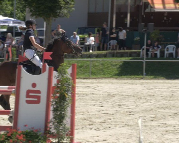 Reitturnier Oberderdingen 2024