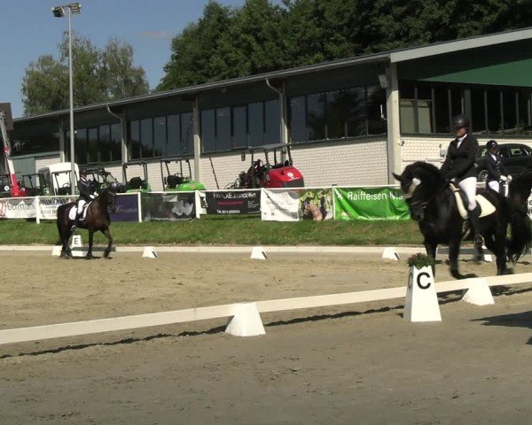 Reitturnier Bergisch Gladbach - Hebborner Hof 2024