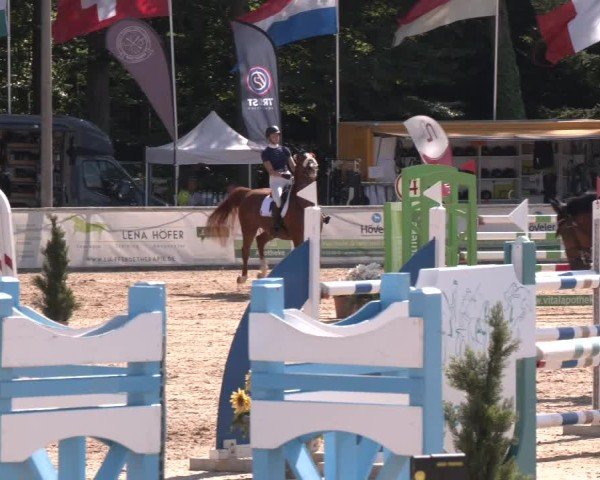 Reitturnier Ranshofen - Braunau am Inn 2024