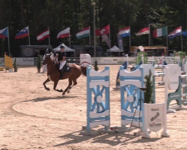 Reitturnier Ranshofen - Braunau am Inn 2024