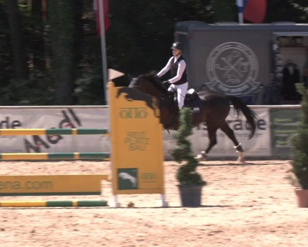 Reitturnier Ranshofen - Braunau am Inn 2024