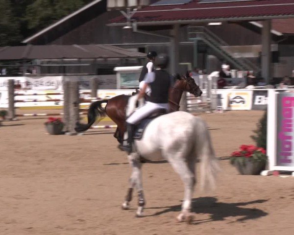Reitturnier Ranshofen - Braunau am Inn 2024